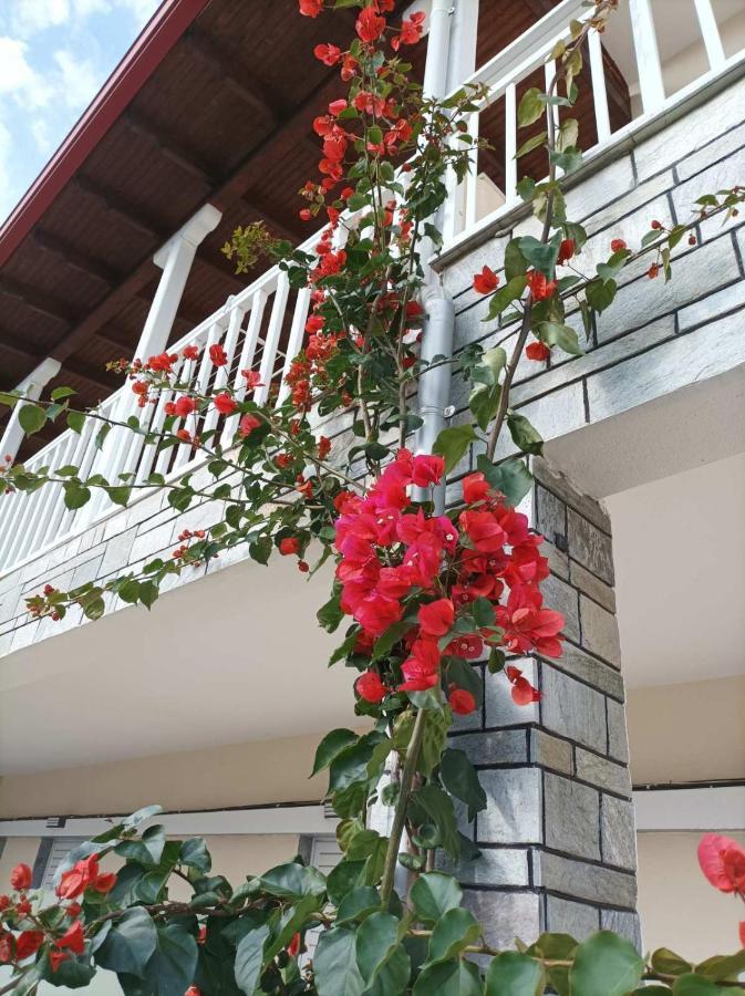Bella Terra Nature Living أسبروبالتا المظهر الخارجي الصورة